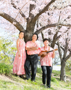 Kaulana 画像